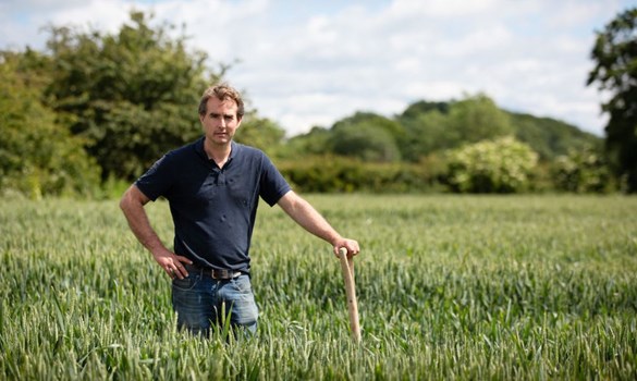 Crop farmer standing in field with a stick.